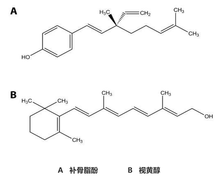 补骨脂酚,抗衰,视黄醇,修复皮肤